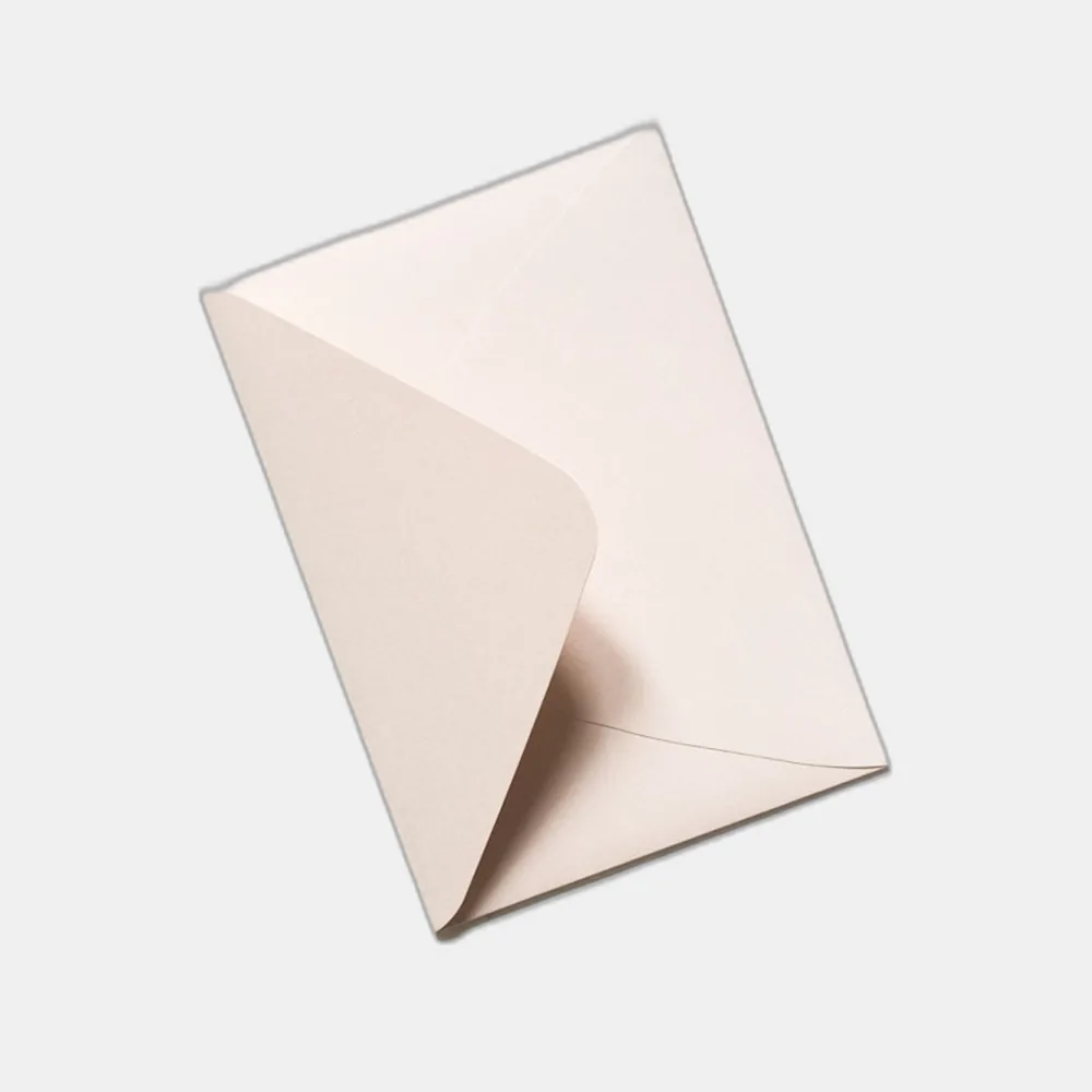 A payment envelope for annual division dues